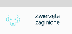Zaginął Twój pies