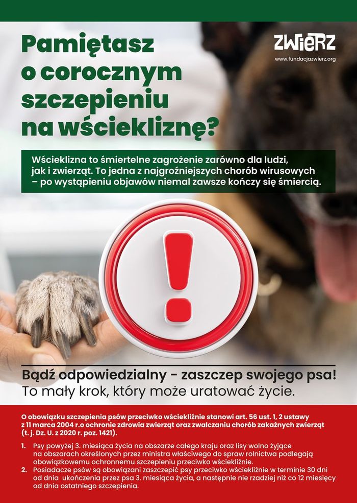 szczepienia Plakat informujący o obowiązkowych szczepieniach pupilów na wściekliznę.