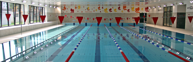 Widok na basen kryty