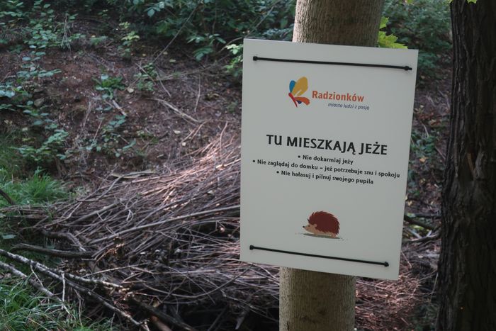 Tablica informacyjna w parku "Tu mieszkają jeże"