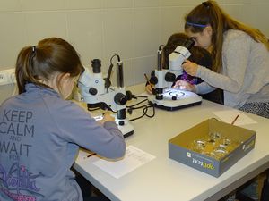 Dziewczynki oglądają coś przez mikroskopy