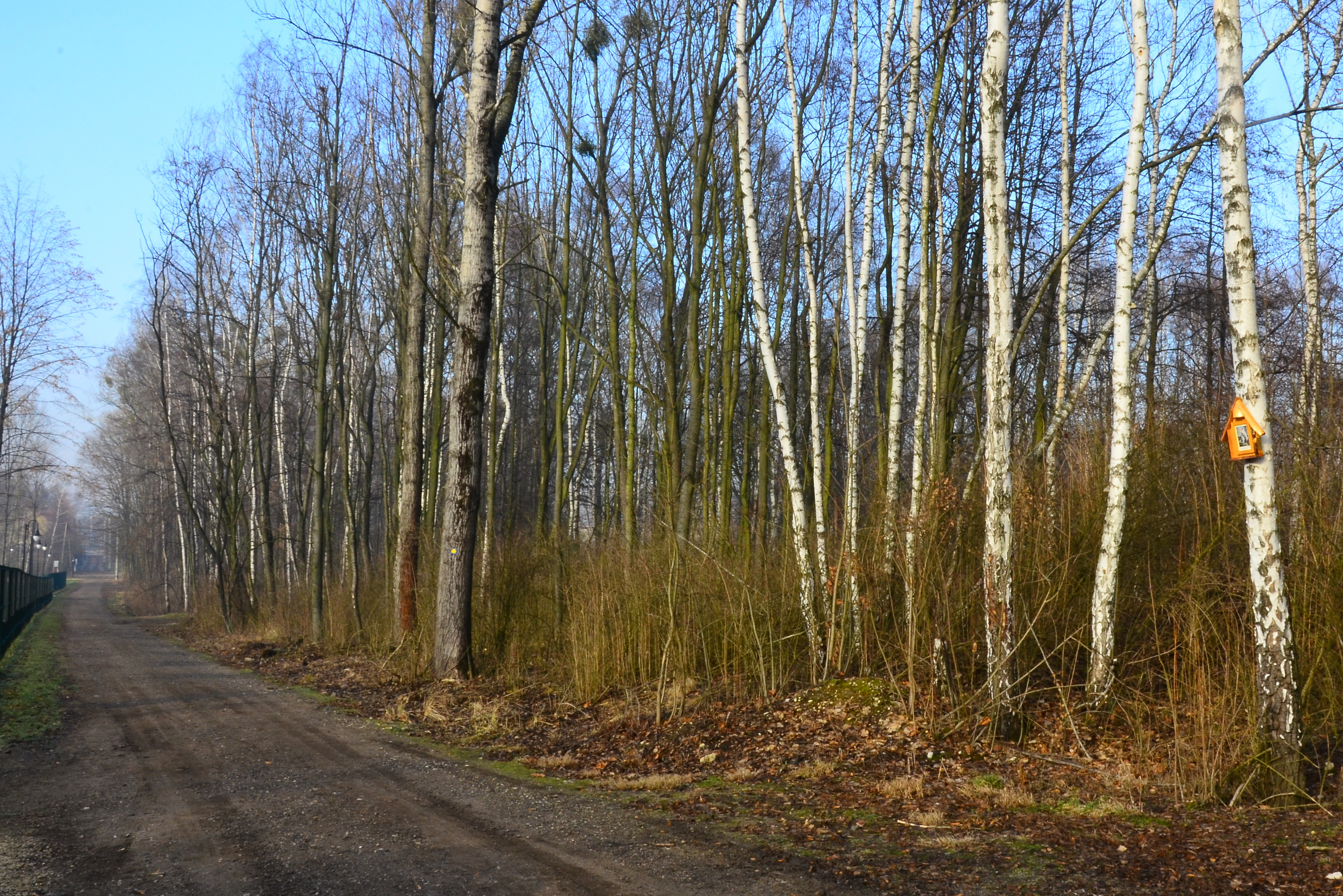 Droga św. Jakuba „Via Regia”