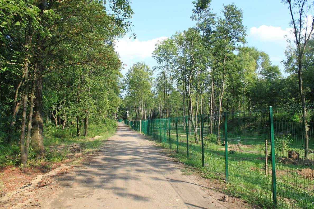 Droga św. Jakuba „Via Regia”