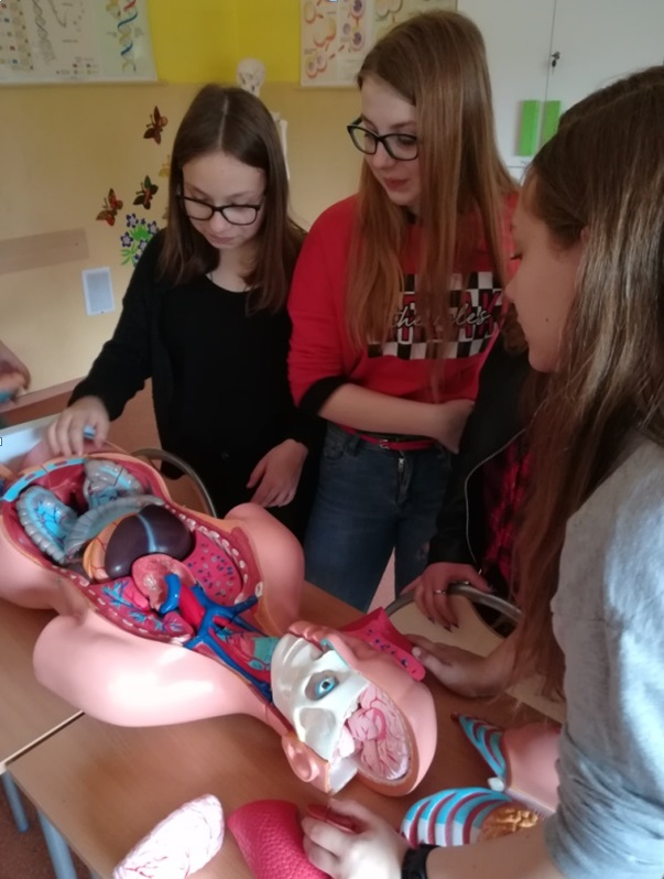 Dziewczyny uczą się biologii na manekinie człowieka